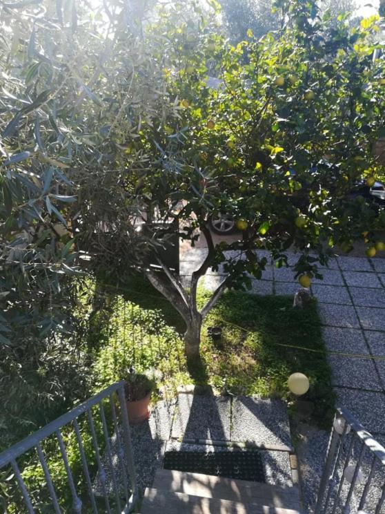 Appartamento Casa Cocco Sant Isidoro  Esterno foto