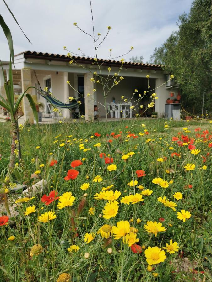 Appartamento Casa Cocco Sant Isidoro  Esterno foto